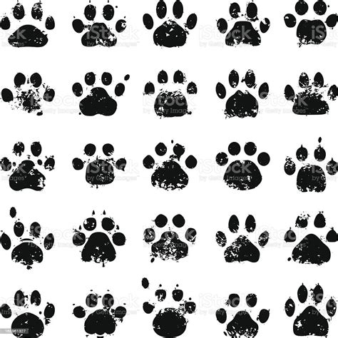 Cat Paw Prints Stock Illustration Download Image Now