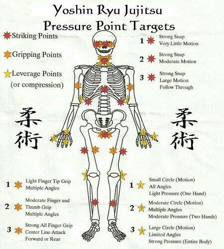 The 25 Best Pressure Points Fighting Ideas On Pinterest Body