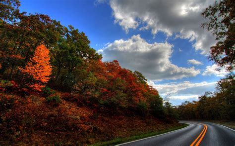 How To Have The Best Fall Ever Skyline Drive Skyline Drive Virginia