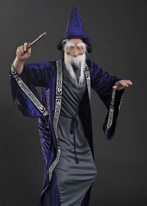 Adult Medieval Wizard Merlin Fancy Dress Costume