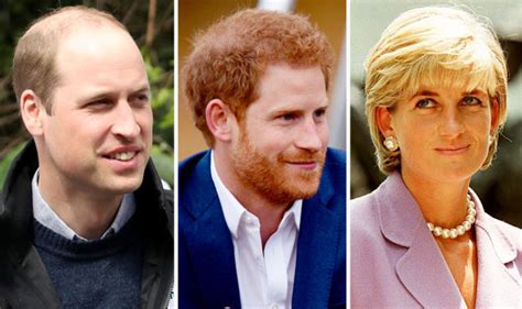 Couple will not be consulted. Prince Harry & Duke of Cambridge to honour young people ...