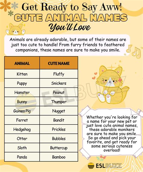 Cute Animal Names Learn Adorable Names For Your Furry Friends Eslbuzz