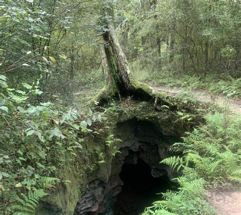 Withlacoochee State Forest In Florida Has Tons Of Caves To Explore
