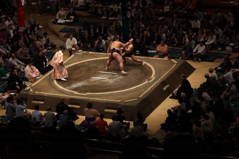 Things To Do In Japan Tips For Attending A Sumo Match In Tokyo