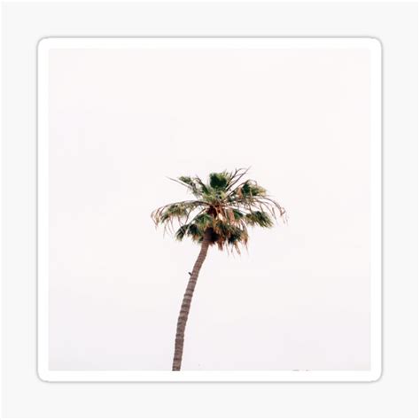 Palm Tree Sticker For Sale By Noonstop Redbubble