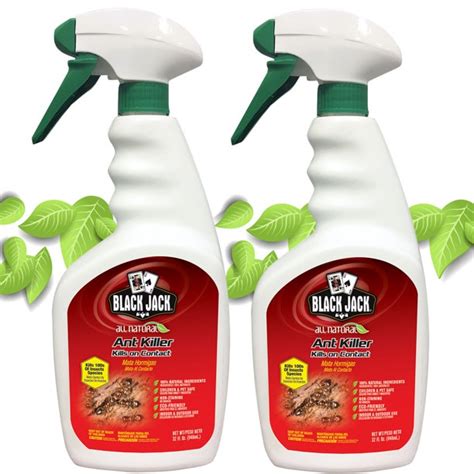 Professional ant extermination services are expensive and may also require toxic chemicals. 2-Pack Black Jack All Natural Ant Killer Spray Home Pest Repellent Kills on Contact Child and ...