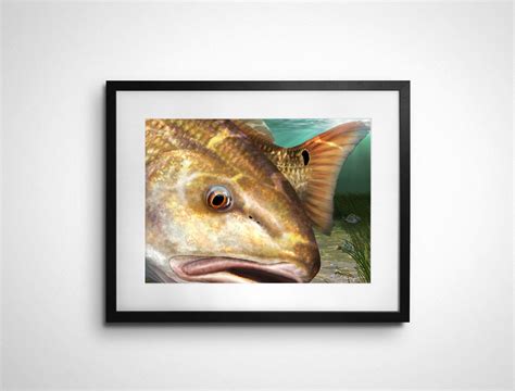 Redfish Fishing Art Prints From Fish Artist Mark Erickson
