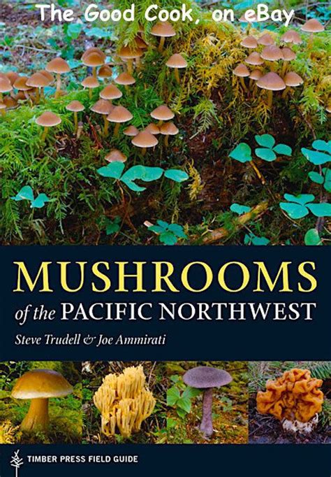 Wild Mushroom Guide Book All Mushroom Info