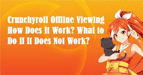 The Ultimate Guide To Crunchyroll Offline Viewing Feature