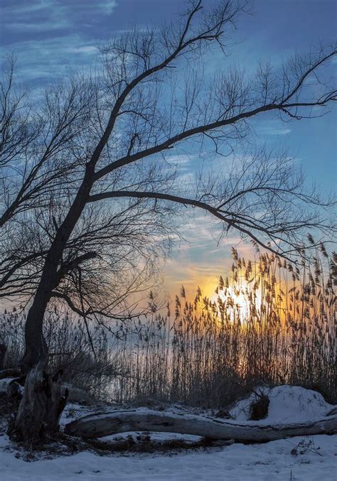 Winter Sunset Beautiful Winter Scenes Winter Scenes