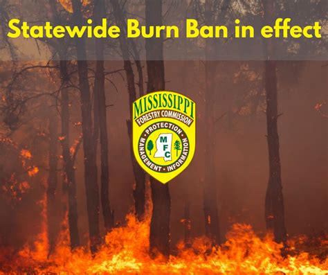 State Burn Ban In Effect COVID Crisis MS Forestry Commission
