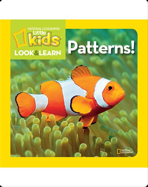 National Geographic Kids Look And Learn Patterns Book By National