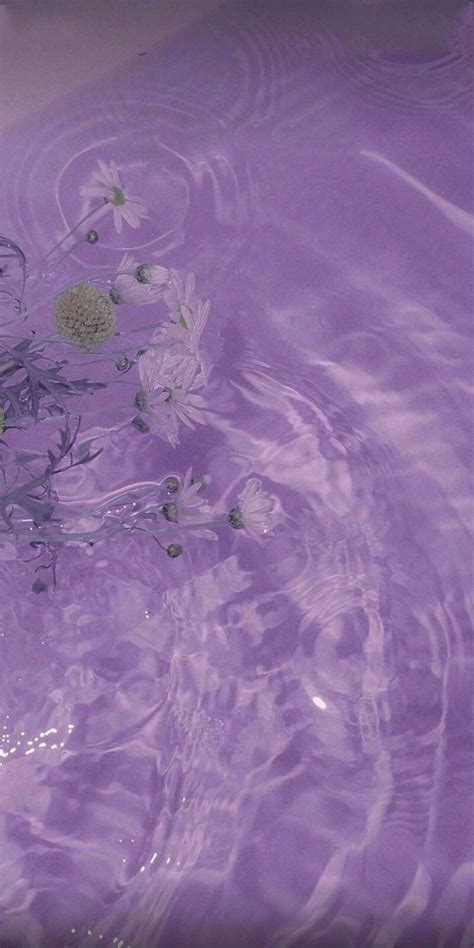 √ Aesthetic Lavender
