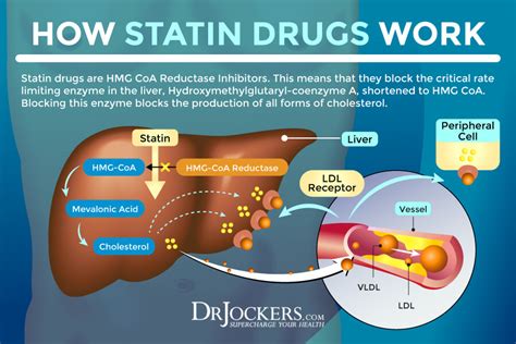 Statin Drug Side Effects Symptoms And Support Strategies