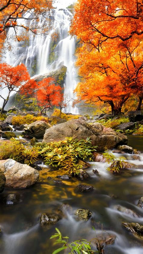 1366x768px 720p Free Download Beautiful Waterfall Background