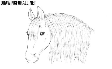 How To Draw A Horse 2019 Horse Drawings Drawings Horse