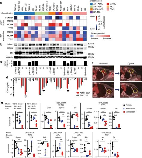 Targeting Mdmx And Mdm2 With Alrn 6924 A Copy Number Variants And Rna Download Scientific