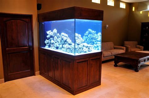 Aquariums Saltwater Fish Tanks Aqua Touch Custom Aquariums