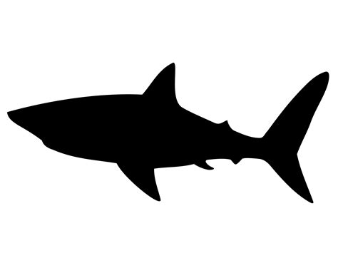 Shark Svg Clipart Image Silhouette Vector Cut File Etsy Uk