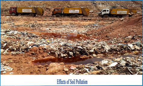 Key Causes And Effects Of Soil Pollution Alpha Enviro