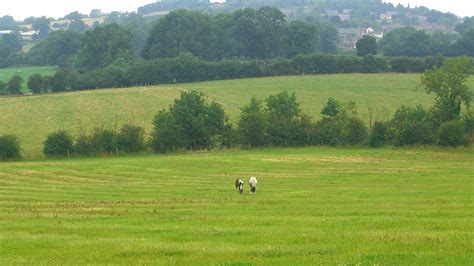 Category of land use : Land for sale in Markfield, Leicestershire
