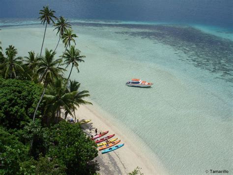 Matava Fiji Untouched Fiji Resort Accommodation