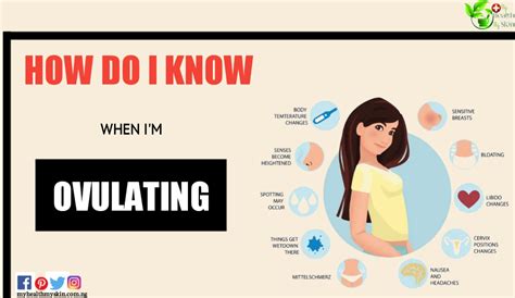 how do i know when i m ovulating
