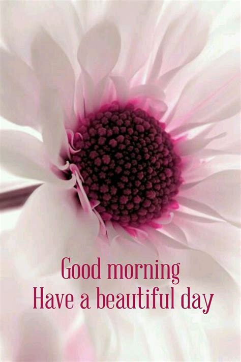 Check out our good morning quotes selection for the very best in unique or custom, handmade pieces from our prints shops. Good Morning Have A Blessed Day Quote With Flower Pictures ...