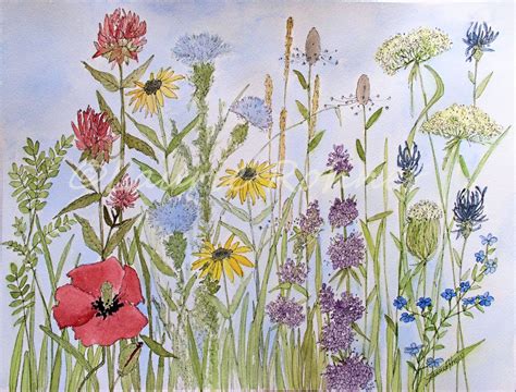 Sold Wildflower Garden Watercolor Illustration Nature Art Original Painting