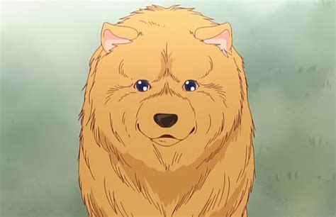 25 Best Anime Dogs Mans Best Friend In Anime Shows And Movies Fandomspot