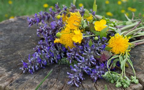 Yellow And Purple Wildflower Bouquet Wallpaper Flower Wallpapers 50880