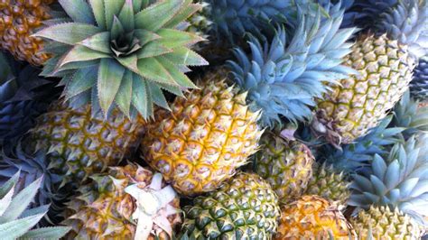 Hawaii Pineapples Go Home Kauai Vacation Rentals