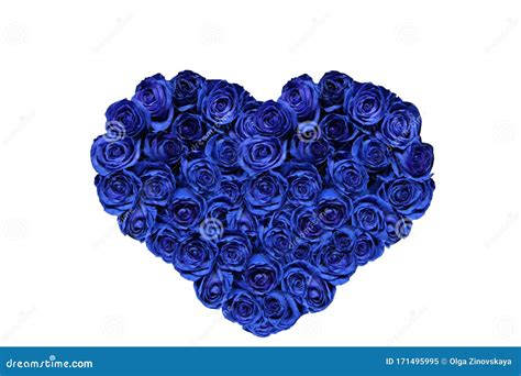 Heart Shaped Bouquet Of Natural Rose Flowers Painted Blue On A White