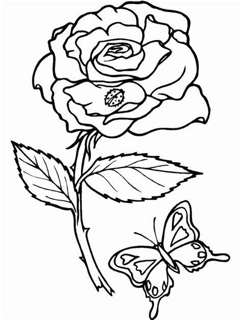 Als ausmalkalender oder als einladungskarten zu verschiedenen themen zum ausdrucken. Malvorlage - Blumen malvorlagen 5