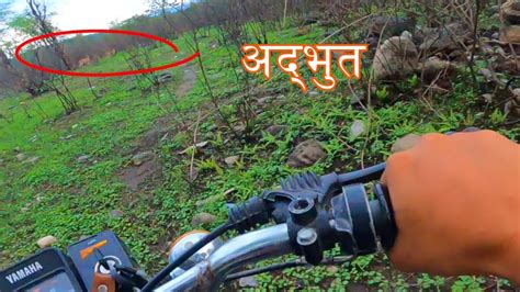 Yamaha RX100's Jungle Adventure: Dehradun's Untold Story #yamaha #