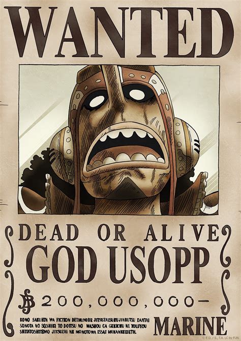 One Piece Wanted Posters Plandetransformacionuniriojaes
