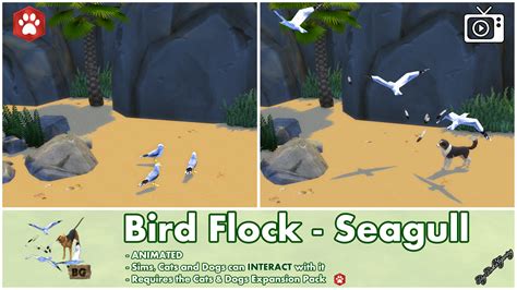 Mod The Sims Bird Flock Spawner Seagull Interactive