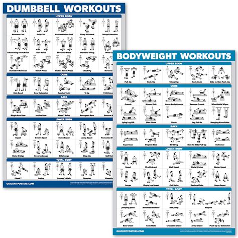 Buy Quickfit Dumbbell Workouts And Bodyweight Exercise Set Laminated