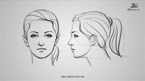Female Head Side View Side Face Drawing Side View Drawing Female