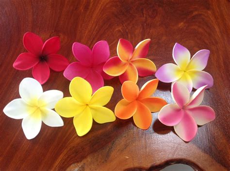 Hawaiian Frangipani Plumeria Flower For Float Hair Clip Etsy