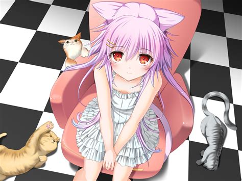 Long Hair Pink Hair Sitting Original Characters Cat Girl Nekomimi