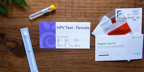 At Home High Risk Hpv Test Costs Less Than A Doctor’s Visit Everlywell
