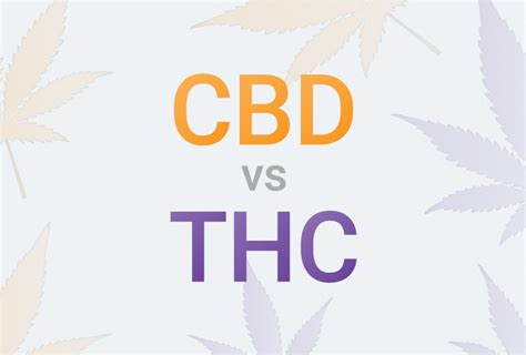 Getting The Cbd Vs Thc What You Need To Know Oregon Cannabis To