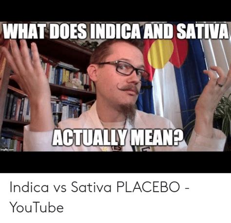 What Doesindica And Sativa Actually Mean Indica Vs Sativa Placebo