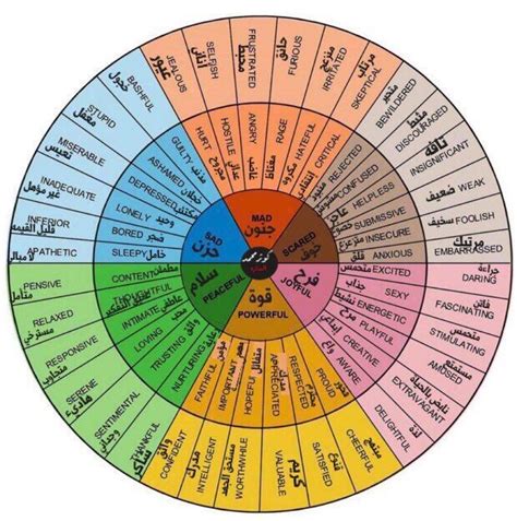 Psychology Emotion Wheel Holoserabc
