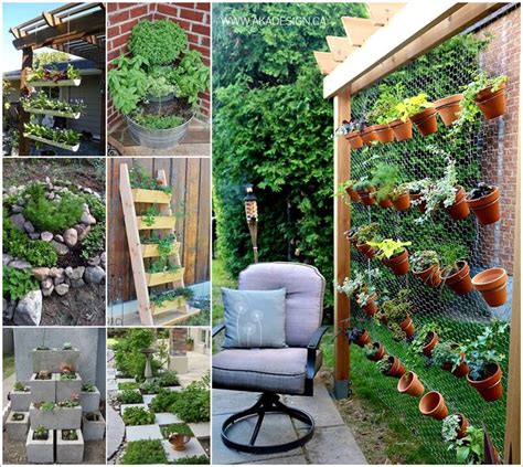 Grow A Wonderful Herb Garden In Your Backyard