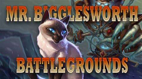 Mr Bigglesworth Players Guide Hearthstone Battlegrounds Outdated