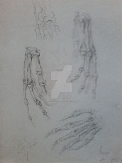 Anatomy Hand Anatomija Ruke By Lazaraleksic On Deviantart