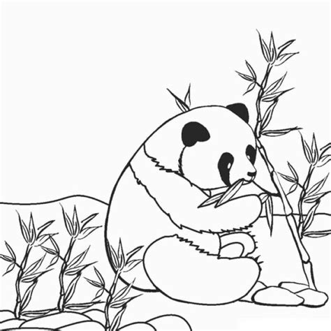 Coloriage Panda Facile à Imprimer Avec Tête à Modeler