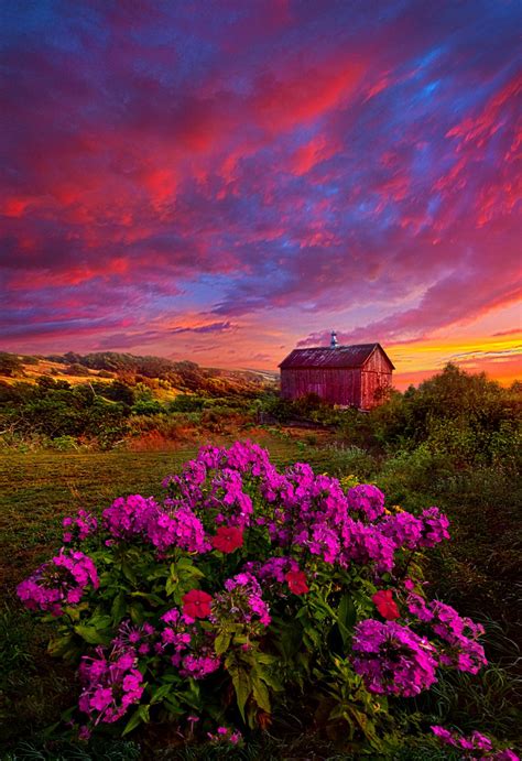 Live In The Moment Sunrise Flower Meadow Barn Landscape In